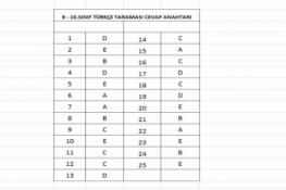 9 VE 10.SINIF PARAGRAF TARAMASI CEVAP ANAHTARI (24.09.2026)